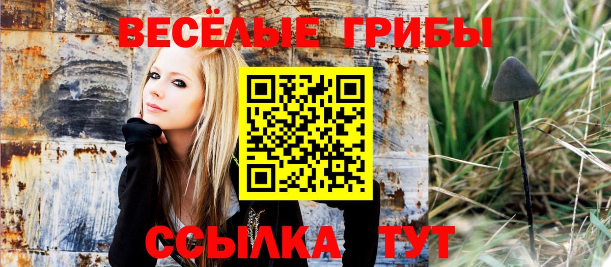 Галлюциногенные грибы Cubensis Ленинск-Кузнецкий